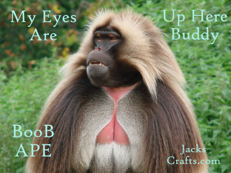 My Eyes are up here Buddy