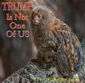 Trump is not one of Us