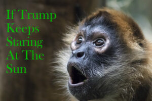 Obama says Hi Bitch!